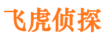 武功外遇调查取证